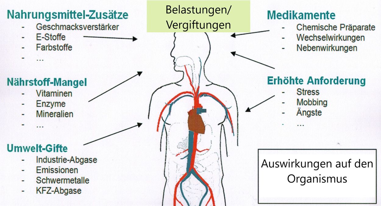 Objekt Bild - der Aqua-Master aus Aurich